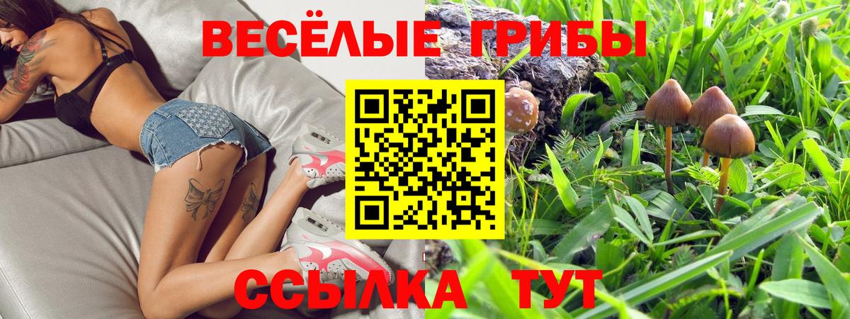 Галлюциногенные грибы MAGIC MUSHROOMS Грозный