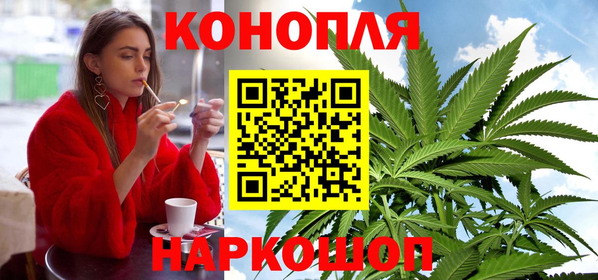 Канабис планчик  Канабис Bruce Banner  Грозный  Вход с VPN 